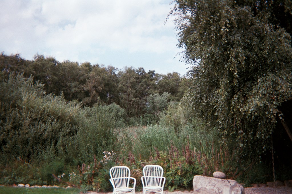 Two beach chairs close to each other in a green landscape